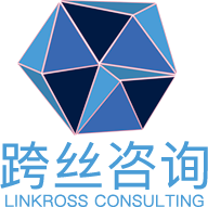 跨丝咨询-Linkross Consulting 法国跨境电商代运营 代开公司